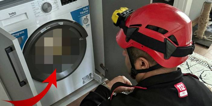 İçine kedisinin girdiğini fark etmeden çamaşır makinesini çalıştırdı! Başından aşağı kaynar sular döküldü