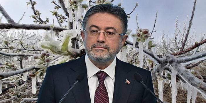 Yumaklı’dan zirai don açıklaması: Hasar tespit çalışmaları başladı