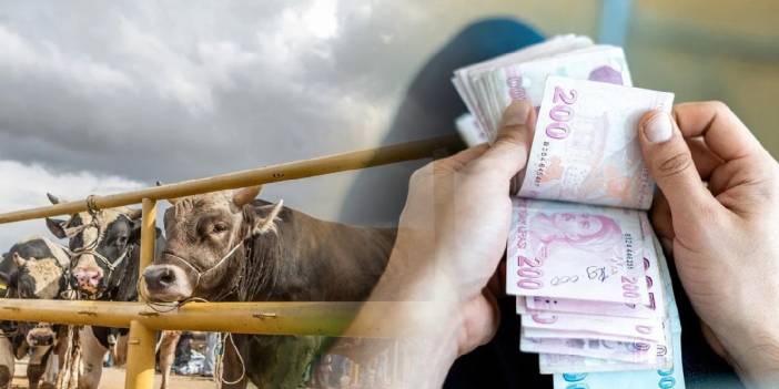 Kurban Bayramı için geri sayım başladı! Kurbanlıklarda fiyat aralıkları açıklandı: Büyükbaş 90 bin TL'den başlıyor...
