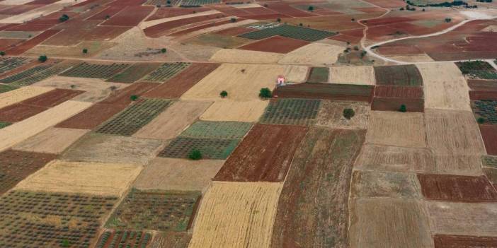 Çorum’da 37 hazine arazisi satışta: İhale 25 Nisan’da yapılacak