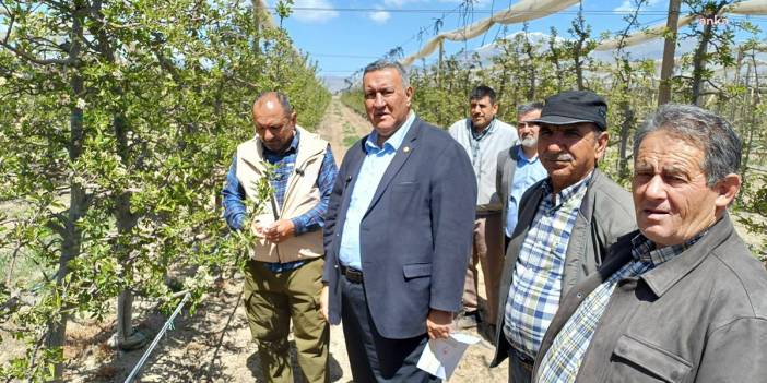 Gürer'den zirai don açıklaması: Yıllık 614 bin ton elma üretilen Niğde'de, bu yıl 500 bin tona yakın kayıp yaşanacak