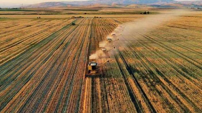 FAO: Sel ve kuraklık dünya tarımını vurdu