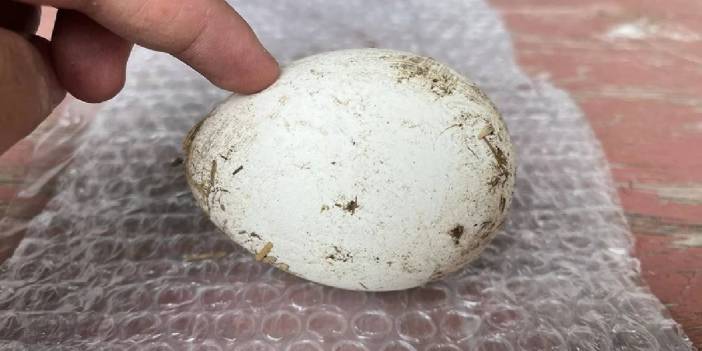 Karadenizlilerin yeni gelir kaynağı! Doğudan batıya, güneyden kuzeye… Türkiye’nin her yerinden sipariş yağıyor