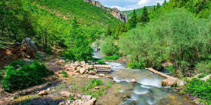 Bozkırın ortasında yemyeşil alan! Burası ne Karadeniz’de ne de Akdeniz’de: Konya’da gideni hayran bırakan bir yer