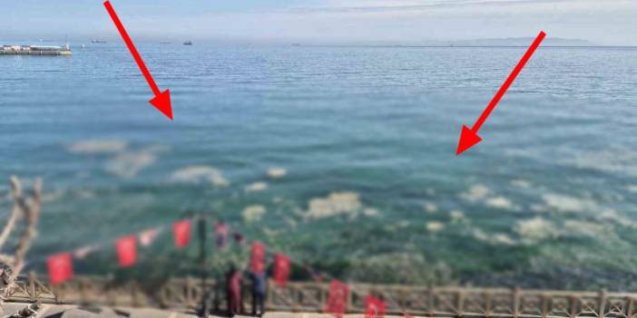 Tekirdağ kıyılarında korkutan manzara! Marmara Denizi'nde beyaz tabaka paniği