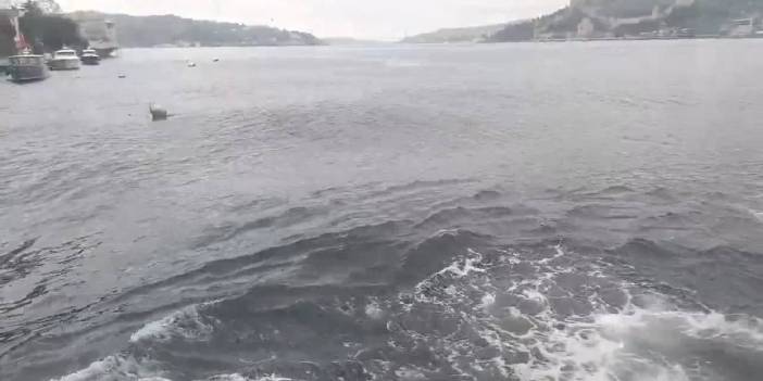 İstanbul'da korkutan görüntüler: O semtimizde deniz 'fokur fokur kaynıyor' iddiası deprem sonrası paniğe yol açtı!
