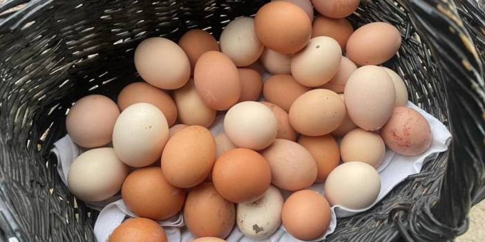 Yumurta üreticilerinden çözüm önerisi: Fon kesintisi kaldırılsın