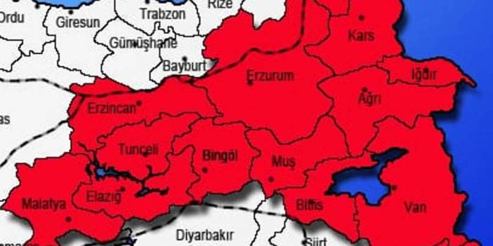 Elazığ, Bingöl, Tunceli ve Malatya'da bir anda sürü halinde görüldüler. Dokunan yandı, 1 milyon TL'yi hazırlasın!