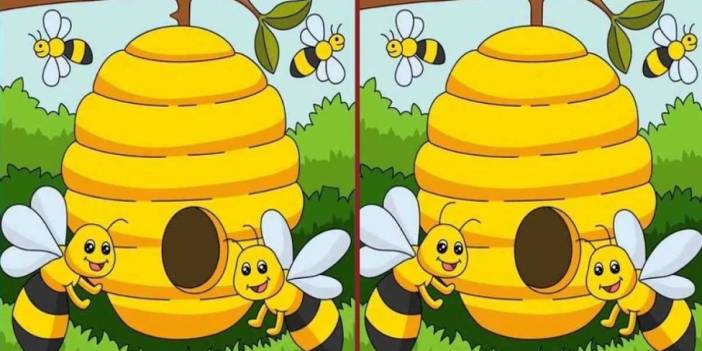 Bu zeka testi yalnızca yüksek IQ’lu olanları 14 saniye oyalayabiliyor! İki resim arasındaki 3 farkı bulabilir misiniz?