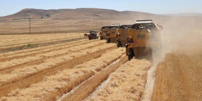 Resmi Gazete'de yayımlandı: Türkiye genelinde tarım sayımı yapılacak