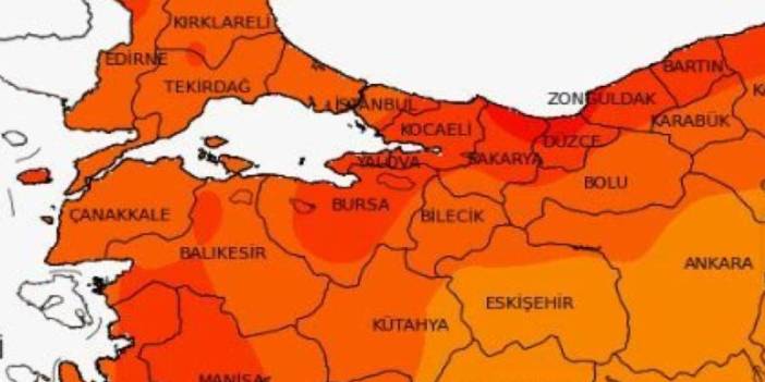Düzce, Bolu, Sakarya ve Zonguldak'ta istilacı hayvan salgını! Onlarcası aniden bastırıp yok ediyor. Acilen önlem alın