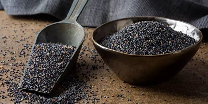 Türkiye'den gönderilen ürünler yine Avrupa kapısından döndü! Sınır kontrolünde yapılan kontrol sonrası reddedildi