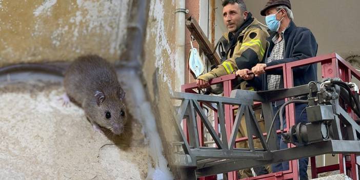 Fareleri kovmak isterken apartmanı zehirledi! 4 kişi hastanelik oldu, itfaiye balkondan tahliye operasyonu yaptı