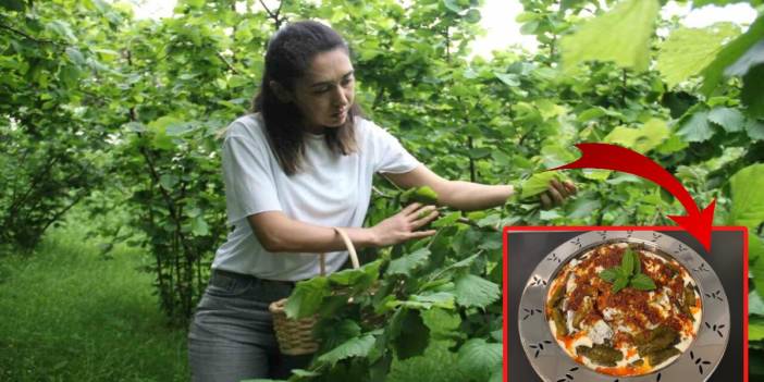 Karadeniz'in unutulmuş lezzeti kanserin ilacı çıktı! Bilim insanları mucizevi etkiyi açıkladı!
