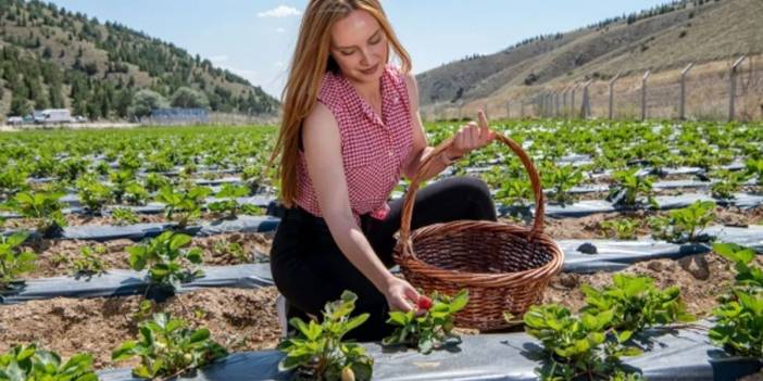 Doktorlar bu meyveyi tavsiye ediyor: Genç kalmak, bağışıklığını güçlendirmek ve kendini zinde hissetmek isteyenler dikkat!