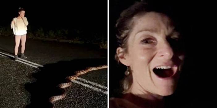 Yolda görünce kütük sandı ama gerçek bambaşka çıktı: 6 metrelik dev yılanı ikna etmenin yolunu böyle buldu!