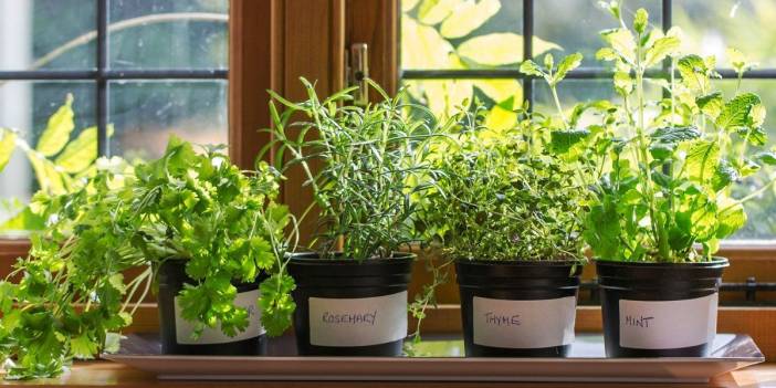 Onu kapıya koyan rahat ediyor! Sinek ve böcek eve uğramıyor: Camları doya doya açabilirsiniz