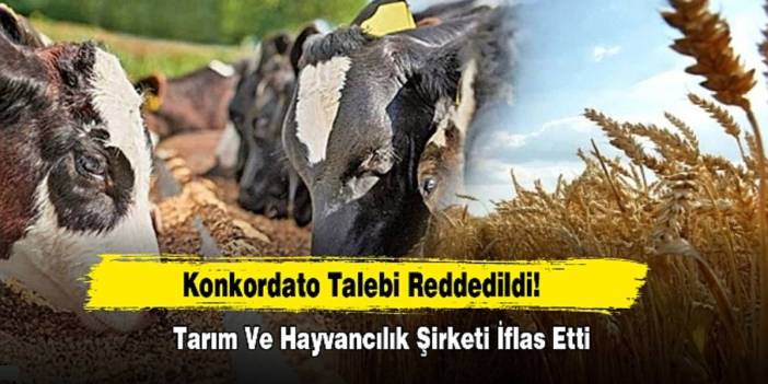 Herkes güvenle alışveriş yapıyordu: Türkiye'nin tarım ve hayvancılık firması iflas etti!