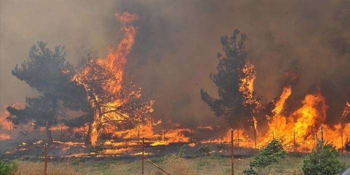 İstanbul’un en çok yangın çıkan ilçesi belli oldu! Sebebi şaşırtıcı