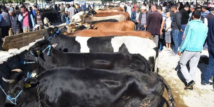 Kurban pazarı alarmda: Polis, sahte para ve dolandırıcılığa karşı uyardı