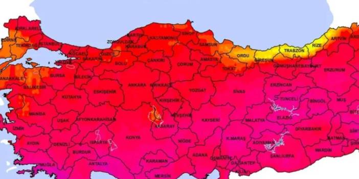 O ilimizde dev yılan görüntülendi! Uzmanlar üstüne basa basa uyardı: İstila başladı, hazırlıklı olun