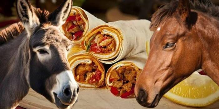 Dana eti diye yediler, gerçek ortaya çıkınca şok geçirdiler! Vatandaşları kandırdılar: Meşhur tantunicide at-eşek eti skandalı