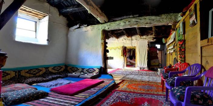 Evine giren bu böceği sakın öldürme: Cezası 557 bin TL! Dünyada koleksiyon değeri var