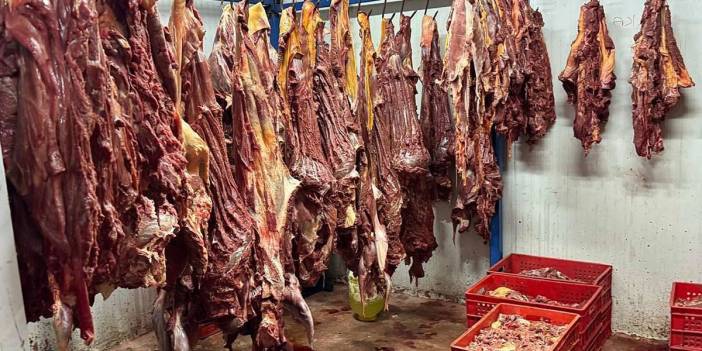 Yakalanmasaydı restoranlara satılacaktı: 3 ton bozulmuş at eti ele geçirildi! Adana'da dehşet veren baskın