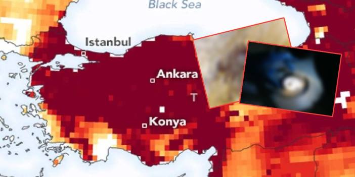 Türkiye'nin yeni baş belası: Çin'den geldi, İstanbul'a yerleşti! Uzmanlar uyardı: Gören hemen yetkililere bildirsin