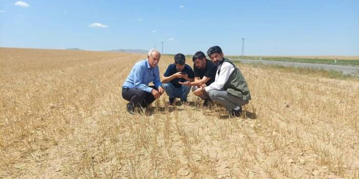 Kuraklık alarmı: Tarlalar boş kaldı, fiyat artışına hazır olun