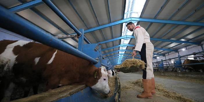 Dede mirasına sahip çıktı, devlet desteğiyle işe atıldı! Ailenin 3’üncü kuşağı: 460 başlık modern tesis kurdu!