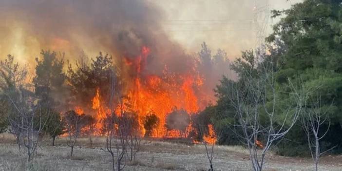 Çanakkale'de orman yangınlarına soruşturma: 6 kişi gözaltında
