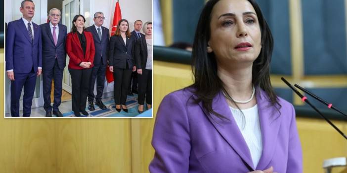 Hatimoğulları'ndan 'çözüm süreci' çağrısı: Komisyon kurulmalı, süreç muhalefetsiz olmaz