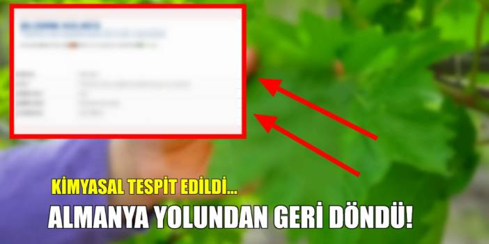 Tarım ve Orman Bakanlığı'ndan ifşa! O lezzetimizde skandal: Almanya'ya gönderilecekti, geri gönderildi! Kimyasal tespit edildi