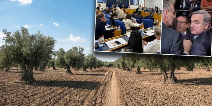 Tartışmalı zeytinlik maddesi komisyondan geçti: Doğal alanlar madenciliğe açılıyor