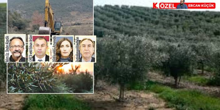 Zeytinlik inadı çevreye darbe