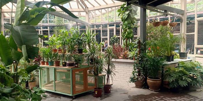 Ankara'nın merkezinde doğayla iç içe bir vaha! Başkentin gizli cennetinde bambaşka dünya var