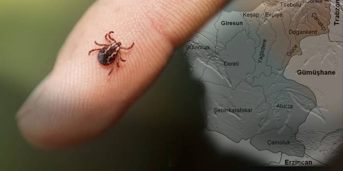 Kene ölümleri Karadenize de sıçradı: Bir günde iki can kaybı