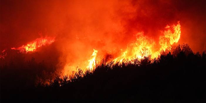 İzmir yanıyor! Alevler yerleşim yerlerine dayandı, havadan müdahale durdu