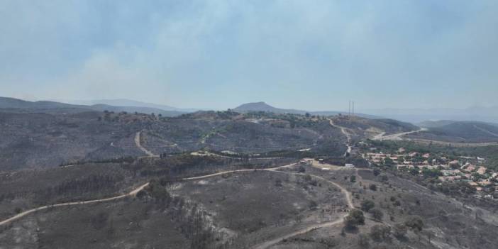 Son 2 gündeki 9 orman yangınından 8'i insan kaynaklı