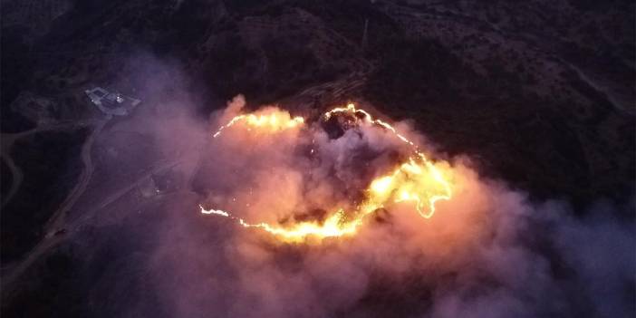 Keneyi yakmak isterken ormanı yaktı: 5 dönümlük alan zarar gördü