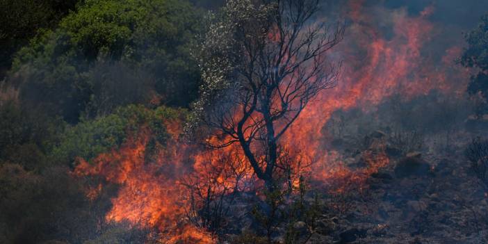İzmir sabaha kadar yandı: Ödemiş, Buca ve Çeşme'de son durum