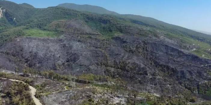Hatay Dörtyol’daki orman yangını kontrol altına alındı: 11 mahalle tahliye edilmişti