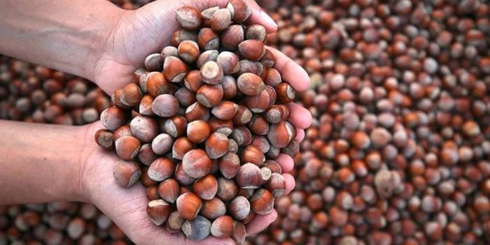 Fındık fiyatları ne kadar? Temmuz ayı listesi belli oldu! İşte 2025 Temmuz güncel fiyat listesi…