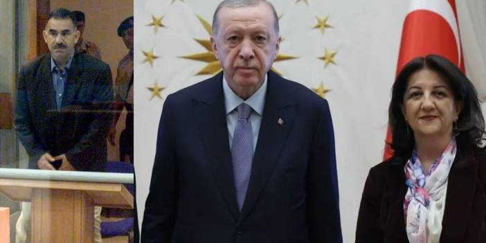 DEM Parti'den Öcalan görüşmesi sonrası açıklama: Erdoğan'la yapılacak görüşme tarihi nitelikte