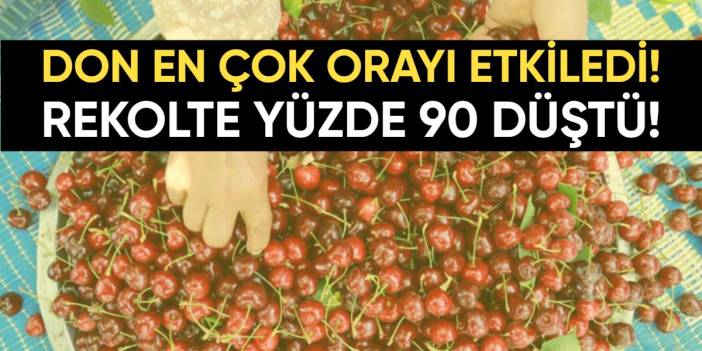Don en çok orayı etkiledi! Rekolte yüzde 90 düştü: Sadece 800 kilo hasat edilmesi bekleniyor