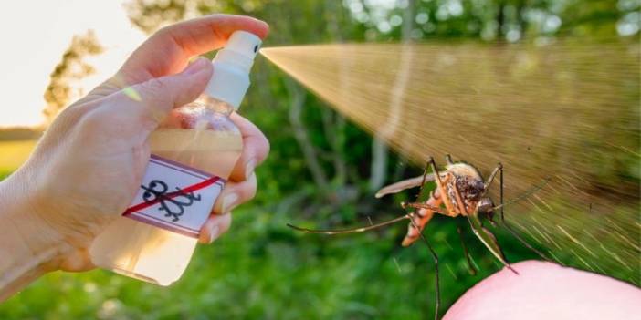 Havalar ısındı sivrisinekler çoğaldı! Çözümü bu kadar basitmiş: Sadece tuvalet kağıdı yeterli olacak