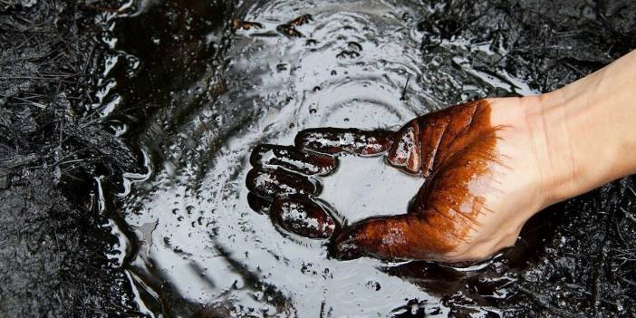 Deha işi: MIT mühendisleri, petrol ayrıştırmasında imkansızı başardı! Çevre dostu enerjiye büyük katkı