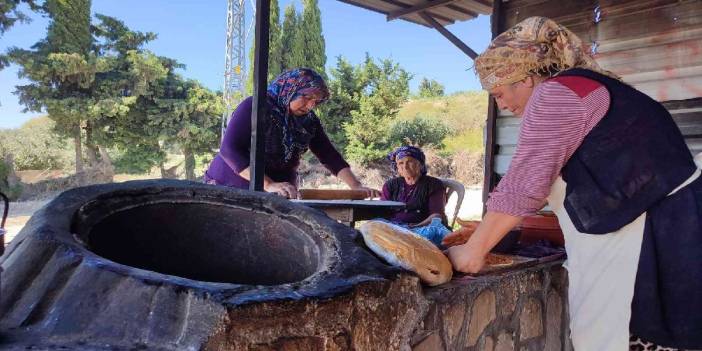 Sabahın köründe mesaileri başlıyor, sıcağa meydan okuyorlar! Tanesi 40 TL’den satılıyor, ailenin ekmek parası çıkıyor