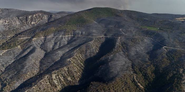 Sakarya'da yürek burkan manzara: Küle dönen alanlar havadan görüntülendi
